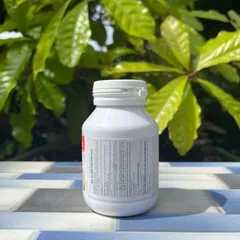 Viên Nhai Bổ Sung Kẽm Cho Bé Bio Island ZINC 120 Viên - Hỗ Trợ Tăng Trưởng và Miễn Dịch, Hương Vani Thơm Ngon