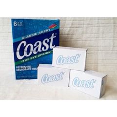 Xà bông cục coast Mỹ 113g 501561