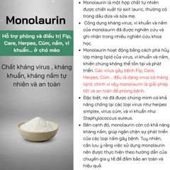 Giải pháp cho mèo herpes (HPV) - Vet360 - Hỗ trợ viêm mũi khì quản - Bảo hành và tăng cường miễn dịch