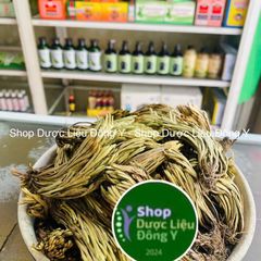 Cây Trường Sinh Móng Lưng Rồng 1kg - Thảo Dược Hỗ Trợ Chữa Bệnh, Giải Quyết Đau Nhức, Hỗ Trợ Tiêu Hóa, Xuất Xứ Việt Nam