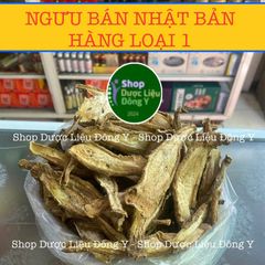 Rễ Ngưu Bàng Khô Nhật Bản 100g - Thực Phẩm Tự Nhiên, Hỗ Trợ Tiểu Đường và Giải Độc An Toàn Sức Khỏe