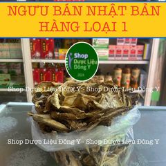 Rễ Ngưu Bàng Khô Nhật Bản 100g - Thực Phẩm Tự Nhiên, Hỗ Trợ Tiểu Đường và Giải Độc An Toàn Sức Khỏe