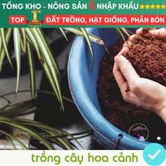 Viên Nén Đất Xơ Dừa Kháng Khuẩn - Giá Thể Trồng Rau Hoa và Hạt Giống An Toàn, Dinh Dưỡng Tự Nhiên, Giao Hàng Siêu Nhanh
