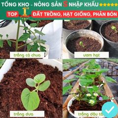 Viên Nén Đất Xơ Dừa Kháng Khuẩn - Giá Thể Trồng Rau Hoa và Hạt Giống An Toàn, Dinh Dưỡng Tự Nhiên, Giao Hàng Siêu Nhanh