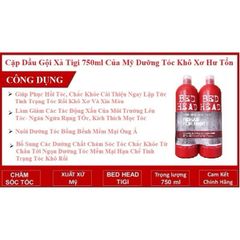 (Hàng chuẩn Mỹ)Cặp Dầu gội - xả TIGI Bed Head 507159