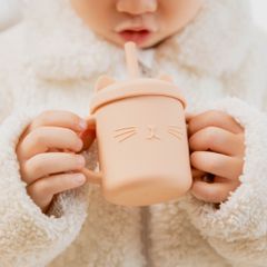 Cốc Tập Hút Silicon BabyBoo Hình Gấu Dễ Thương Cho Bé - Cốc Chống Tràn Kèm Nắp Ăn Bánh, An Toàn Khi Sử Dụng