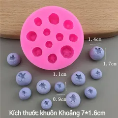 Khuôn Silicon Hình Trái Mâm Xôi và Việt Quất 3D - Dụng Cụ Làm Bánh DIY Trang Trí Bánh Mousse và Pudding Tại Nhà