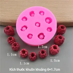 Khuôn Silicon Hình Trái Mâm Xôi và Việt Quất 3D - Dụng Cụ Làm Bánh DIY Trang Trí Bánh Mousse và Pudding Tại Nhà