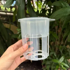 Khay Hâm Sữa/ Khay Hấp đồ ăn Dặm Dùng Cho Bình đun Nước Pha Sữa Bear WW-4H12W, COCOBEAR Bản Tiêu Chuẩn, Cao Cấp