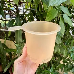 Khay Hâm Sữa/ Khay Hấp đồ ăn Dặm Dùng Cho Bình đun Nước Pha Sữa Bear WW-4H12W, COCOBEAR Bản Tiêu Chuẩn, Cao Cấp