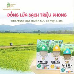 Gạo Hữu Cơ Ăn Dặm Bébi Organic - Gạo Xát Dối Giàu Dinh Dưỡng, An Toàn Cho Bé, Phù Hợp Với Giai Đoạn Ăn Dặm, HSD 09/05/2026