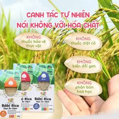 Gạo Hữu Cơ Ăn Dặm Bébi Organic - Gạo Xát Dối Giàu Dinh Dưỡng, An Toàn Cho Bé, Phù Hợp Với Giai Đoạn Ăn Dặm, HSD 09/05/2026