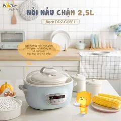 Nồi Bear 2,5l Tử Sa - Nồi Nấu Cháo Chậm Bear DDZ-C25R6