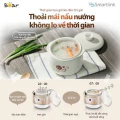 Phụ Kiện Nắp Nhựa Nồi Nấu Chậm Bear 0.8L DDZ-A08D1/DDZ-A08G2 - Bear 0,8L A08T8, A08D1, A08Q6, A08M3, A08G2