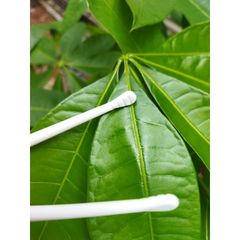 Đũa Tập Gắp Cho Bé - 3 Giai Đoạn An Toàn, Chất Liệu Nhựa ABS - Phụ Kiện Hữu Ích Giúp Bé Tập Ăn Dễ Dàng