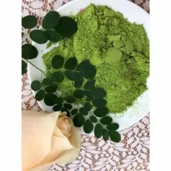 Bột Chùm Ngây Sấy Lạnh Moris - Túi Zip 100gr