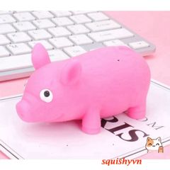 Đồ Chơi Giải Tỏa Căng Thẳng Hình Con Heo - Silicone Dẻo Mềm, Thú Cưng Xả Stress Cho Người Lớn và Trẻ Em