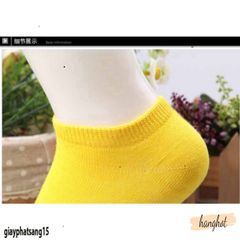 Tất Cổ Thấp Đen Trắng Hàn Quốc - Vớ Ngắn Unisex Siêu Xốp Thoáng Mát, Phong Cách Thời Trang Tôn Dáng