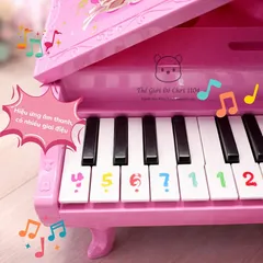 Đàn Piano Đồ Chơi Mini Công Chúa Màu Hồng 24 Phím Có Đèn Nhạc - Quà Tặng Hoàn Hảo Cho Bé Gái Phát Triển Âm Nhạc và Sáng Tạo