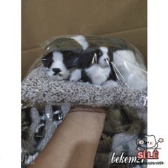 Gấu Đôi - Gấu Trúc Mẹ Con Lõi Than Hoạt Tính Khử Mùi Lọc Không Khí Thú Bông Trang Trí Ô Tô Dễ Thương Cho Xe Hơi