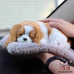 Thú Nhồi Bông Hình Mèo Ngủ - Chó Bông Than Hoạt Tính Khử Mùi Ô Tô, Trang Trí Xe Hơi và Nhà Cửa, Quà Tặng Dễ Thương