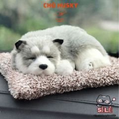 Gấu Bông Chó Mèo Than Hoạt Tính Trang Trí Xe Hơi - Khử Mùi, Lọc Không Khí, Đồ Chơi Dễ Thương Cho Chó Mèo