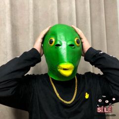 Mặt Nạ Silicon Hài Hước Ếch Xanh - Phụ Kiện Độc Đáo Cho Tiệc Hóa Trang, Halloween, Tạo Nụ Cười, Thoải Mái Cho Trẻ Em và Người Lớn
