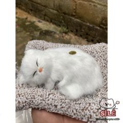 Thú bông Mèo Trắng Dễ Thương - Khử Mùi Với Lõi Than Hoạt Tính - Trang Trí Ô Tô, Phòng Ngủ, Quà Tặng Đáng Yêu