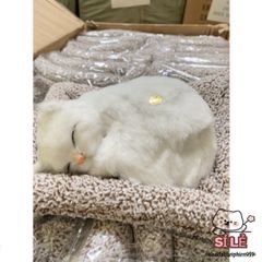 Thú bông Mèo Trắng Dễ Thương - Khử Mùi Với Lõi Than Hoạt Tính - Trang Trí Ô Tô, Phòng Ngủ, Quà Tặng Đáng Yêu