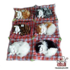Thú Bông Chó Mèo Hút Mùi Than Hoạt Tính - Phụ Kiện Trang Trí Ô Tô Khử Mùi, Lọc Không Khí Tiện Lợi Cho Xe Hơi