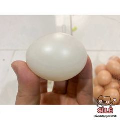 Quả Trứng Gà Nhựa Giả Tự Nhiên 99% - Đồ Trang Trí Độc Đáo Cho Nhà Cửa, Quán Cà Phê, Không Gian Nghệ Thuật