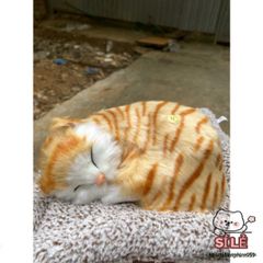 Thú Bông Mèo Vằn Vàng Than Hoạt Tính 99% - Trang Trí Ô Tô & Lọc Không Khí, Bạn Đồng Hành Dễ Thương Cho Gia Đình & Văn Phòng