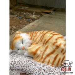 Thú Bông Mèo Vằn Vàng Than Hoạt Tính 99% - Trang Trí Ô Tô & Lọc Không Khí, Bạn Đồng Hành Dễ Thương Cho Gia Đình & Văn Phòng