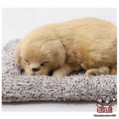 Thú Bông Chó Mèo Than Hoạt Tính - Trang Trí Ô Tô & Bàn Làm Việc, Giúp Khử Mùi & Đem Lại Không Gian Trong Lành, Nhiều Kiểu Dáng Dễ Thương