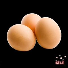 Trứng Gà Giả Màu Nâu 6cm - Giải Pháp Hỗ Trợ Chăn Nuôi Gà Nòi Hiệu Quả, Tạo Thói Quen Đẻ Trứng Tốt
