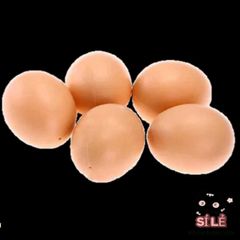 Trứng Gà Giả Màu Nâu 6cm - Giải Pháp Hỗ Trợ Chăn Nuôi Gà Nòi Hiệu Quả, Tạo Thói Quen Đẻ Trứng Tốt