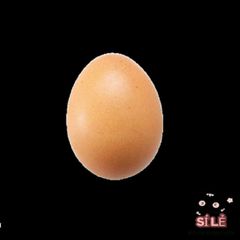 Trứng Gà Giả Màu Nâu 6cm - Giải Pháp Hỗ Trợ Chăn Nuôi Gà Nòi Hiệu Quả, Tạo Thói Quen Đẻ Trứng Tốt