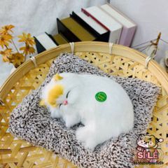 Túi lót tã cho chó mèo - Khử mùi hiệu quả bằng than hoạt tính, mang lại không gian sạch sẽ và dễ chịu cho thú cưng