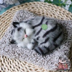 Túi lót tã cho chó mèo - Khử mùi hiệu quả bằng than hoạt tính, mang lại không gian sạch sẽ và dễ chịu cho thú cưng