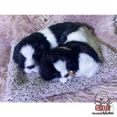 Thú Bông Chó Mèo Than Hoạt Tính - Trang Trí Ô Tô, Nhà, Bàn Làm Việc - Quà Tặng Dễ Thương Cho Trẻ Nhỏ và Người Yêu Thú Cưng