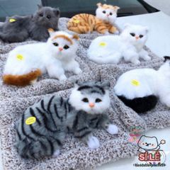 Gấu Bông Khử Mùi Than Hoạt Tính Cho Thú Cưng - Sản Phẩm Đáng Yêu Tạo Không Gian Trong Lành Cho Ô Tô, Phòng Ngủ và Quà Tặng Trẻ Em