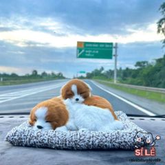 Gấu Bông Mèo Khử Mùi Ô Tô - Thiết Kế Dễ Thương Có Than Hoạt Tính, Phụ Kiện Trang Trí Xe Hơi và Nội Thất Nhà Cửa