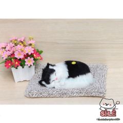 Thú Nhồi Bông Phát Âm Thanh Cho Chó Mèo - Trang Trí Ô Tô và Phòng Làm Việc Dễ Thương, Hút Mùi Than Hoạt Tính, Quà Tặng Gia Đình