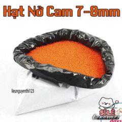 Hạt Nở Khổng Lồ 1KG - Viên Siêu Lớn Đầy Màu Sắc cho Thủ Công và Trang Trí - Tạo Điểm Nhấn Sáng Tạo Cho Ngôi Nhà Bạn