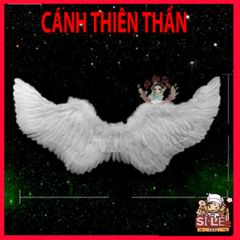 Cánh Thiên Thần Trắng/Đen - Trang Trí Chụp Ảnh Lông Vũ Mềm Mại Cho Không Gian Nghệ Thuật Đẹp Mắt
