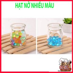 Hạt Nở Trồng Cây Thủy Sinh - Hạt Pha Lê Trang Trí Đẹp Cho Bình Hoa, Dễ Sử Dụng, Tăng Kích Thước Đến 14mm