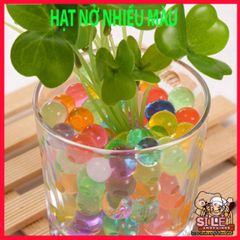 Hạt Nở Trồng Cây Thủy Sinh - Hạt Pha Lê Trang Trí Đẹp Cho Bình Hoa, Dễ Sử Dụng, Tăng Kích Thước Đến 14mm