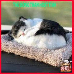 Thú Nhồi Bông Trang Trí Taplo Ô Tô - Hút Ẩm Khử Mùi Than Hoạt Tính, Kích Thước 20x28cm, Đồ Nội Thất Xe Đẹp Mát Mẻ
