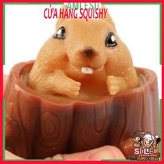 Đồ Chơi Squishy Hình Con Sóc Ngủ Trong Gốc Cây - Đồ Chơi Giảm Stress Dễ Thương Cho Trẻ Em và Người Lớn - Đồ Trang Trí Bàn Làm Việc