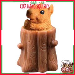 Đồ Chơi Squishy Hình Con Sóc Ngủ Trong Gốc Cây - Đồ Chơi Giảm Stress Dễ Thương Cho Trẻ Em và Người Lớn - Đồ Trang Trí Bàn Làm Việc